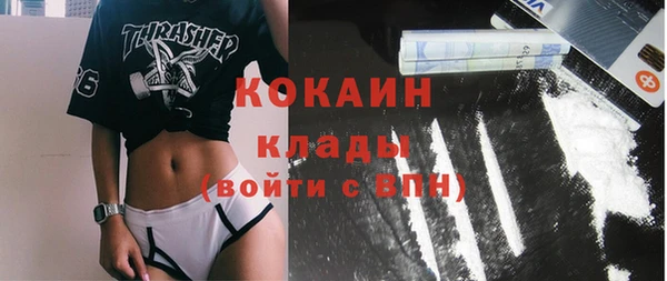 альфа пвп Новодвинск