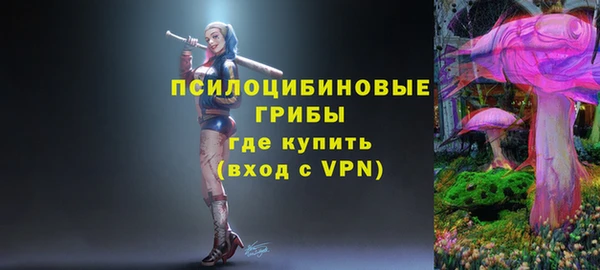 альфа пвп Новодвинск