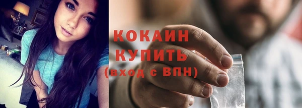 альфа пвп Новодвинск