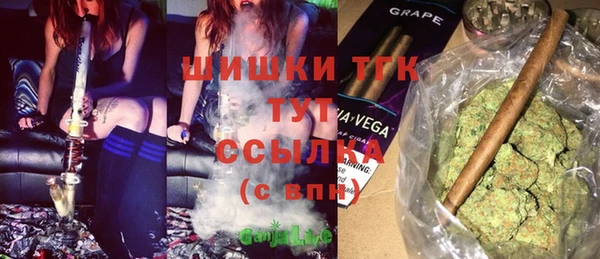 альфа пвп Новодвинск
