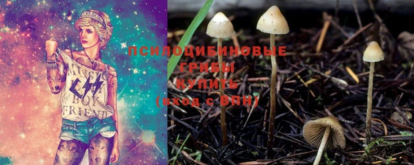 кокс Новозыбков