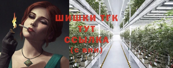 альфа пвп Новодвинск