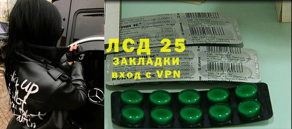PSILOCYBIN Нязепетровск