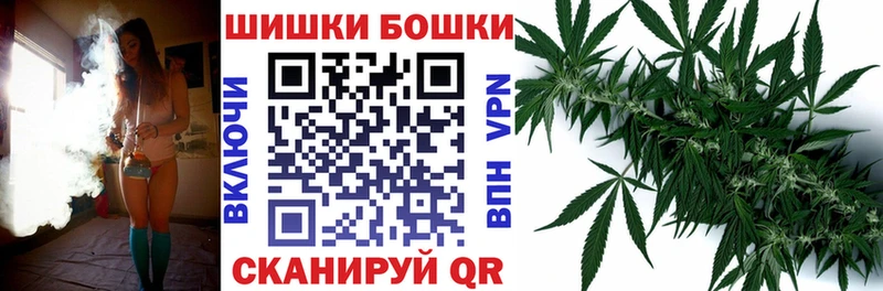 Бошки Шишки планчик Киреевск
